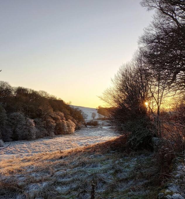 Willow Cottage, Gilchristland Organic Farm Closeburn ภายนอก รูปภาพ