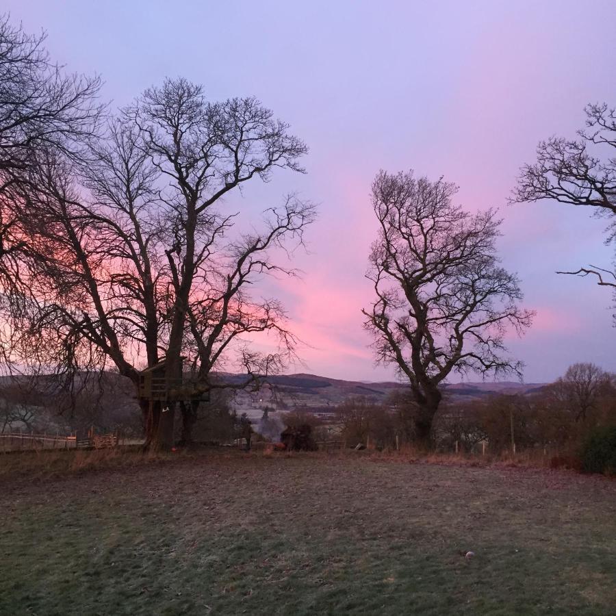 Willow Cottage, Gilchristland Organic Farm Closeburn ภายนอก รูปภาพ
